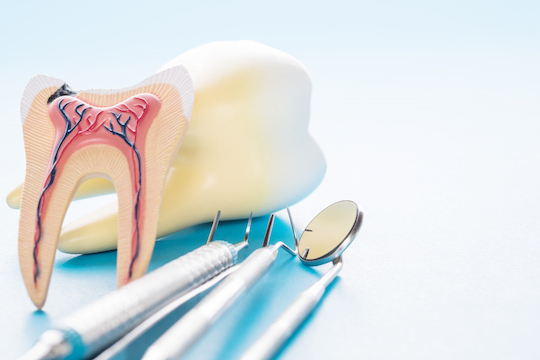 how does a root canal work warrnambool